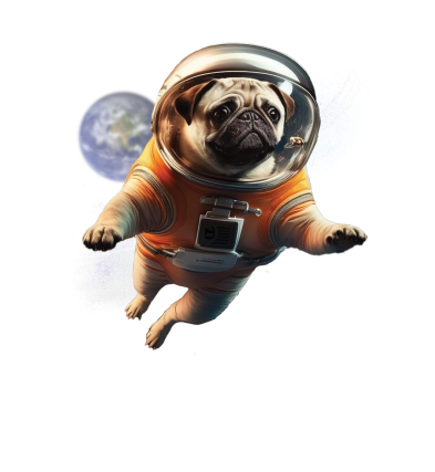 Somebody Digital | Alan the pug as an astronaut