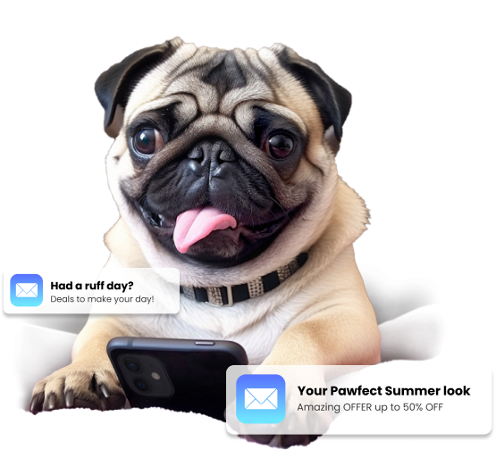 Somebody Digital | Alan the pug Email Marketing