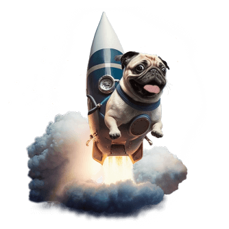 Somebody Digital | Alan The Pug Riding a Rocket